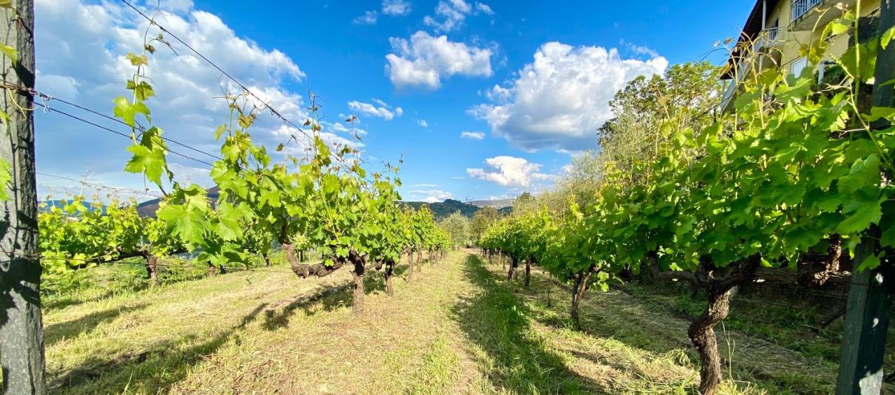 Private Douro- Quinta Das Susandas Mesão Frio Exterior foto